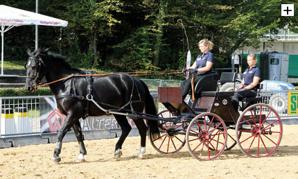 Kutschfahrt mit dem Phaeton-Trainingswagen